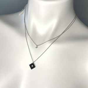 NWT Layered Silver Necklace